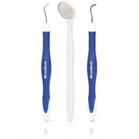 Wisdom Dental Hygiene Kit стоматологический набор (смотровое зеркало, зонд и кюретка)