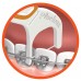 Plackers Orthopick зубной станок (флоссер) с запатентованной нитью TUFFLOSS (24 шт)
